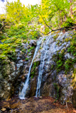 Pfeiffer Falls