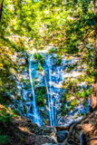 Pfeiffer Falls
