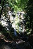 Pfeiffer Falls