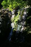 Pfeiffer Falls