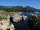 Point Lobos State Natural Reserve