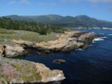 Point Lobos State Natural Reserve