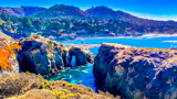 Bird Island Trail