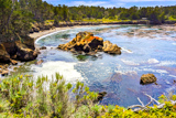 Whalers Cove