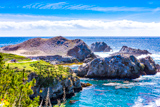 Bird Island
