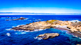 Sea Lion Point