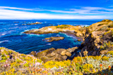 Sea Lion Point