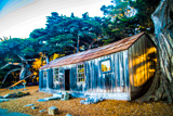 Whalers Cabin Museum