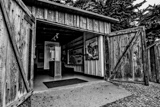 Whaling Station Museum