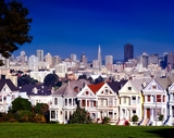 Painted Ladies