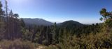 Redwood Mountain Overlook