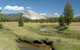 Tuolumne Meadows (vers Soda Springs)