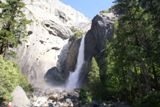 Lower Yosemite Fall