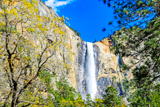 Bridalveil Fall