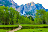 Sentinel Meadow