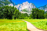 Sentinel Meadow