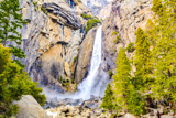 Lower Yosemite Fall