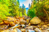 Mist Trail