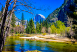 Yosemite Valley
