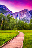 Sentinel Meadow