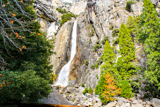 Lower Yosemite Fall