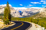 Tioga Road