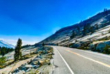 Tioga Road