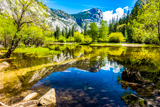 Mirror Lake