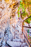 Mist Trail