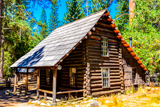 Artist Home