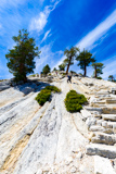 Half Dome Trail