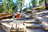 Half Dome Trail