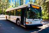 Yosemite Valley Shuttle
