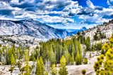 Olmsted Point