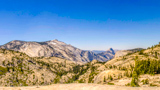 Olmsted Point