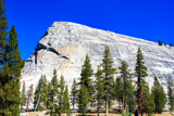 Lembert Dome Trail