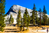 Lembert Dome Trail