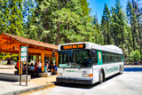 Mariposa Grove Shuttle
