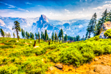 Panorama Trail