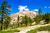 Sentinel Dome Trail