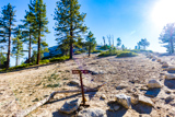 Sentinel Dome Trail
