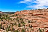 White Domes Trail