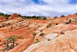 Photos/Images de Canaan Mountain Wilderness