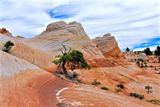 White Domes