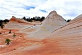 White Domes