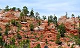 White Domes Trail