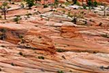 White Domes Trail