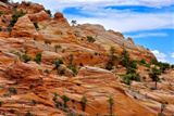 White Domes Trail