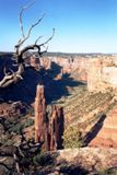Spider Rock Overlook (South Rim)