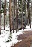 Glacial Boulder